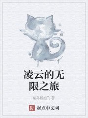 凌云的无限之旅
