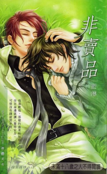 非卖品(出书版)