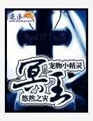 宠物小精灵之冥王