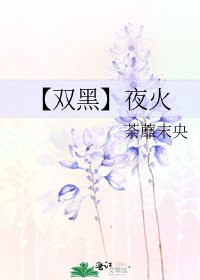 【双黑】夜火